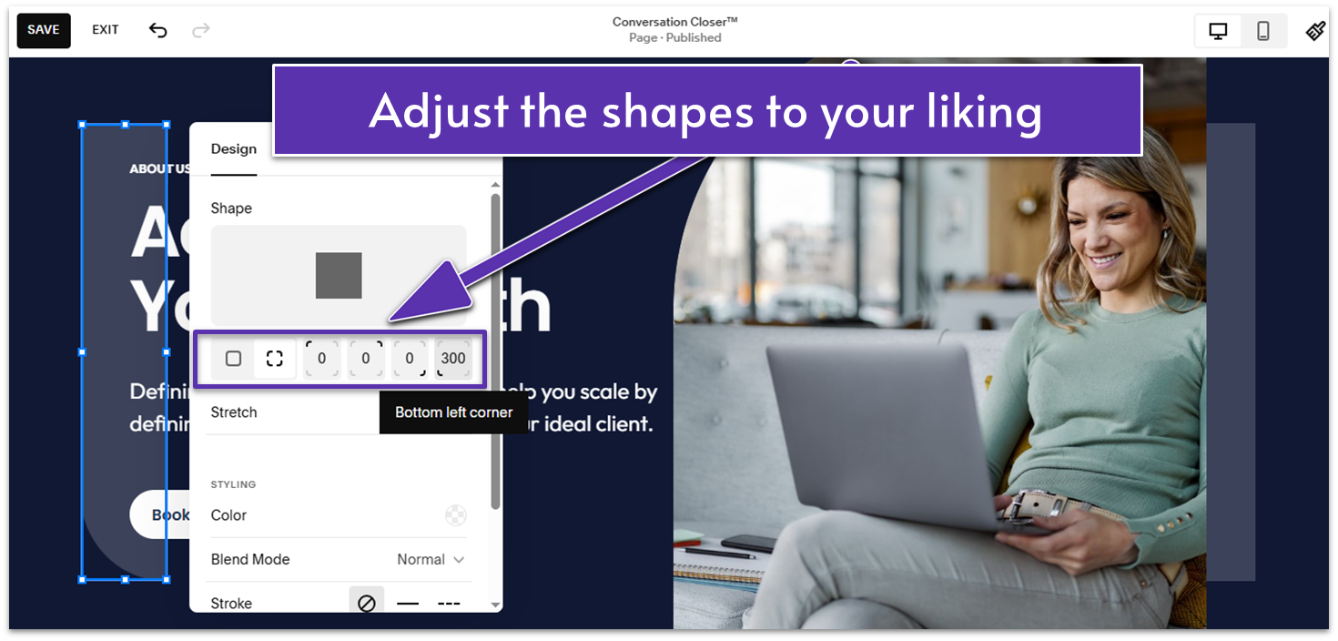 A screenshot from the Squarespace editor showing how to adjust a section's shape